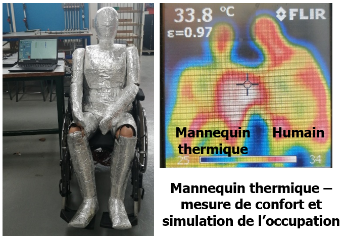 Mannequin humanoïde thermiquement contrôlé et respirant